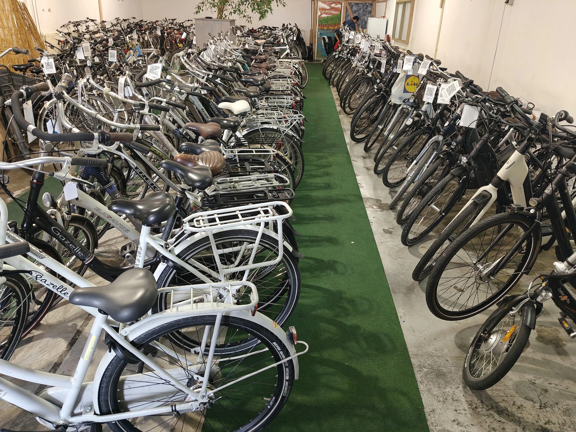 Rijen tweedehandsfietsen in verschillende kleuren opgesteld in een opslagruimte met groene vloer.