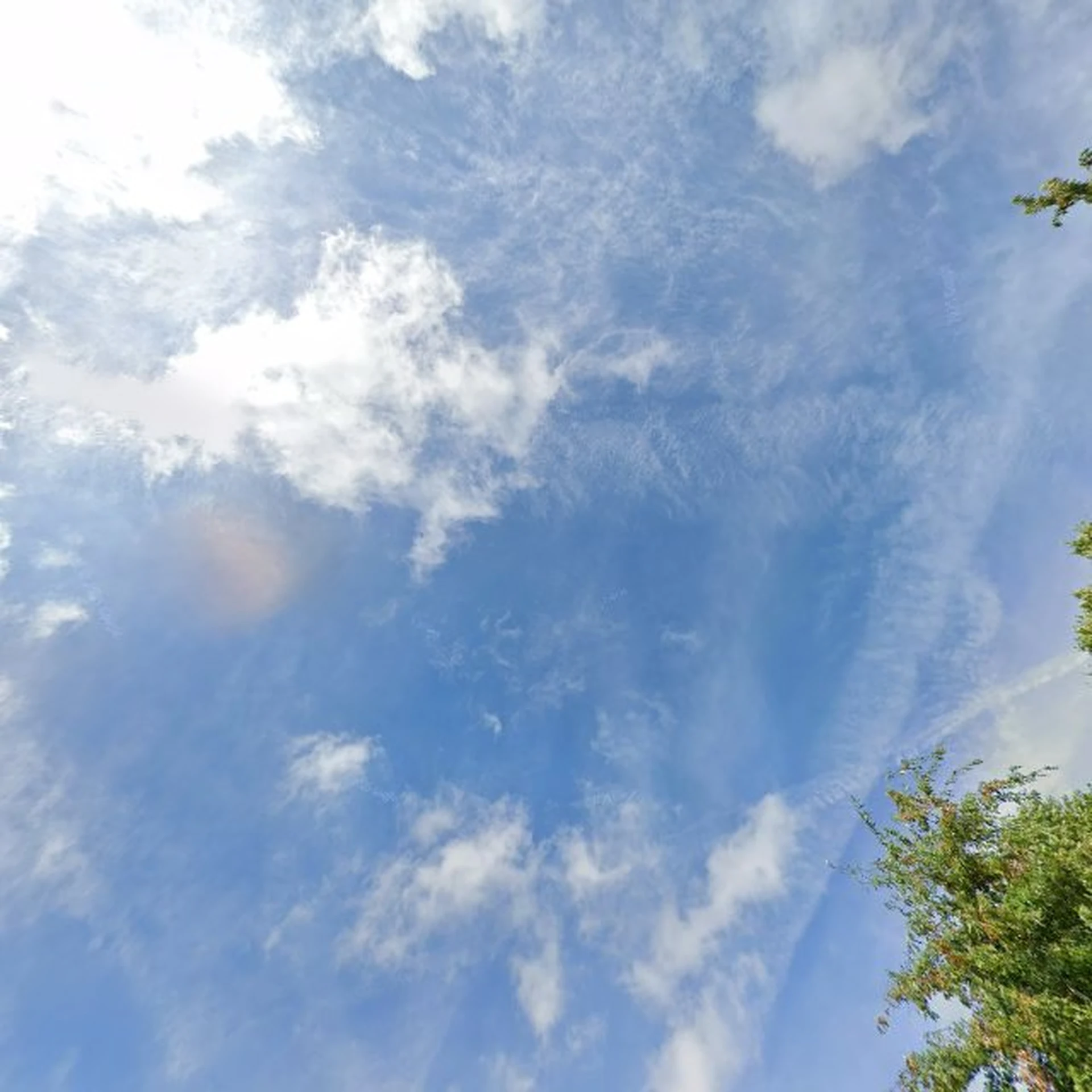 Kringloopwinkel Felix Kringloop Almelo in Almelo