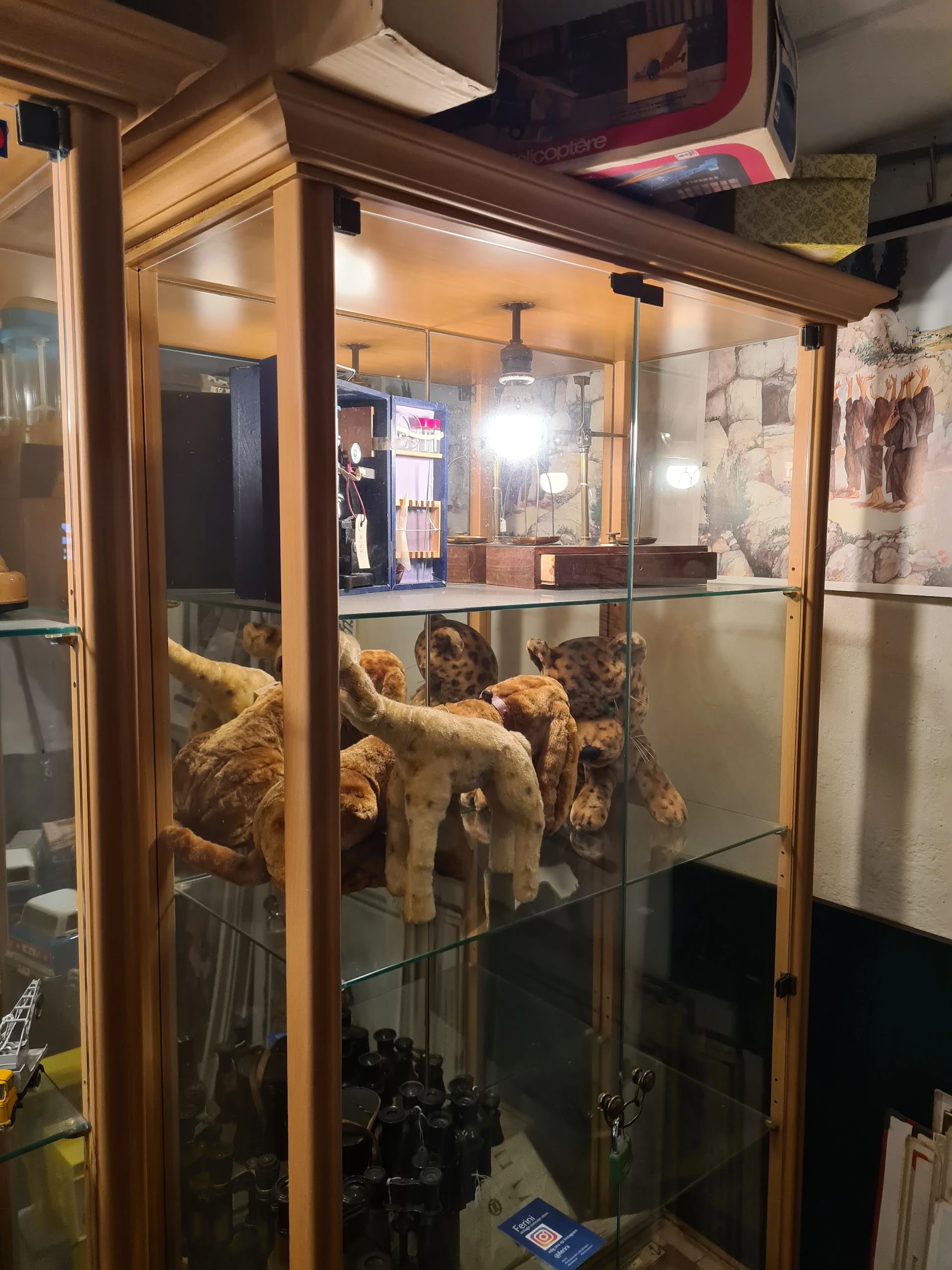 Ferini Nieuwvliet Vintage Theater Kunst Tweedehands Boeken Kado in Nieuwvliet met tweedehands boeken, kleding en kunst