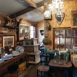 Bezoeker foto van Ferini Nieuwvliet Vintage Theater Kunst Tweedehands Boeken Kado in Nieuwvliet