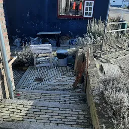 Bezoeker foto van Ferini Nieuwvliet Vintage Theater Kunst Tweedehands Boeken Kado in Nieuwvliet