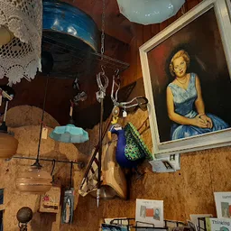 Bezoeker foto van Ferini Nieuwvliet Vintage Theater Kunst Tweedehands Boeken Kado in Nieuwvliet