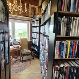 Boekenwinkel interieur met zwarte boekenkasten, een gele stoel en uitzicht op groene tuin door raam