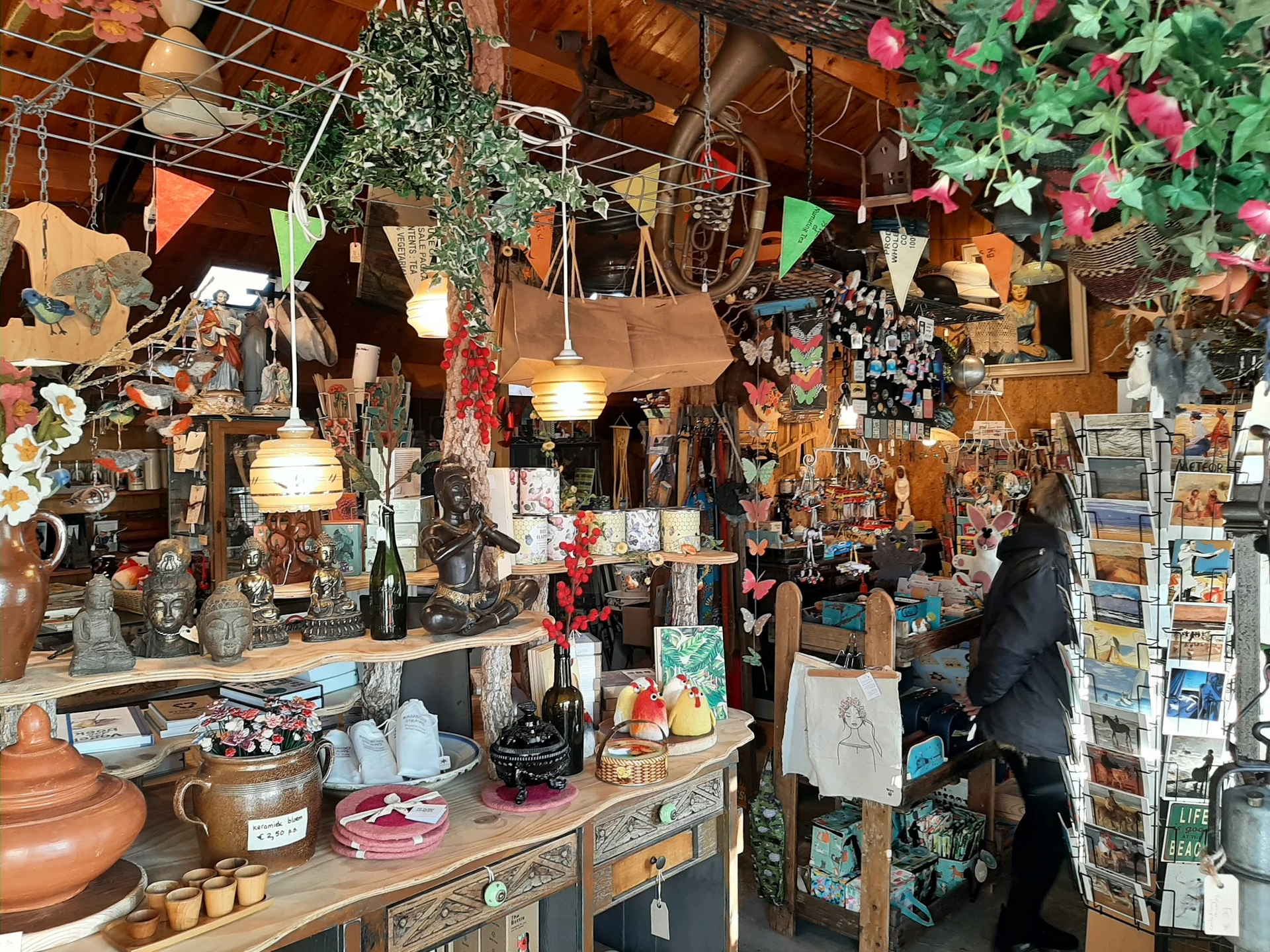Vintage winkelinterieur vol decoraties, hangende planten, boeken en kunstobjecten op stellingen en tafels
