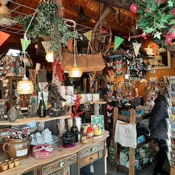 Vintage winkelinterieur vol decoraties, hangende planten, boeken en kunstobjecten op stellingen en tafels
