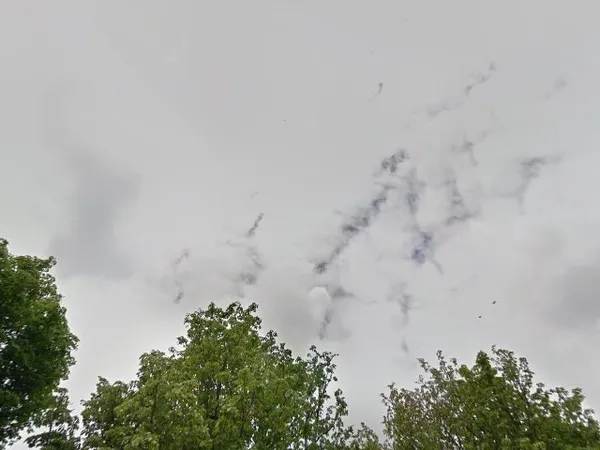 Kringloopwinkel Kringloopwinkel Fischer Delft B.V. in Delft