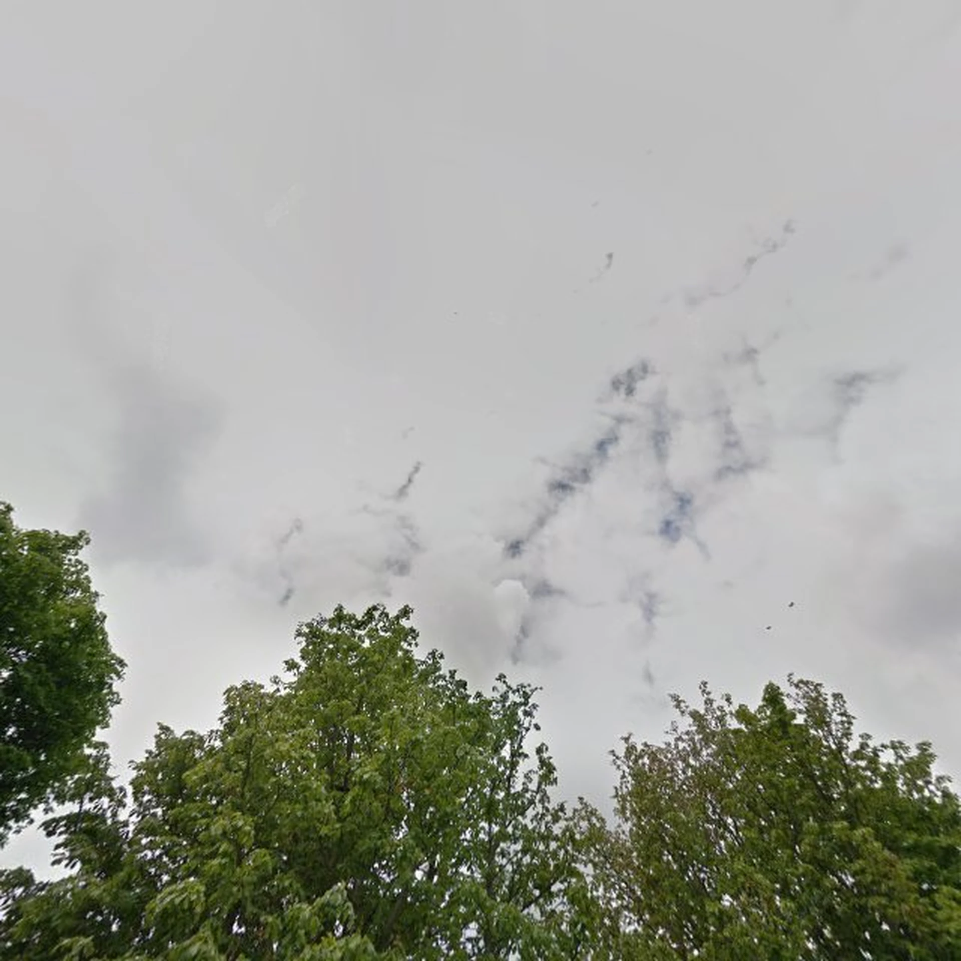 Kringloopwinkel Kringloopwinkel Fischer Delft B.V. in Delft