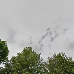 Kringloopwinkel Kringloopwinkel Fischer Delft B.V. in Delft