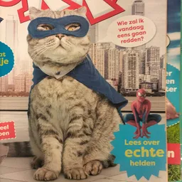 Bezoeker foto van Foenix Kringloop & Reintegratie in Apeldoorn