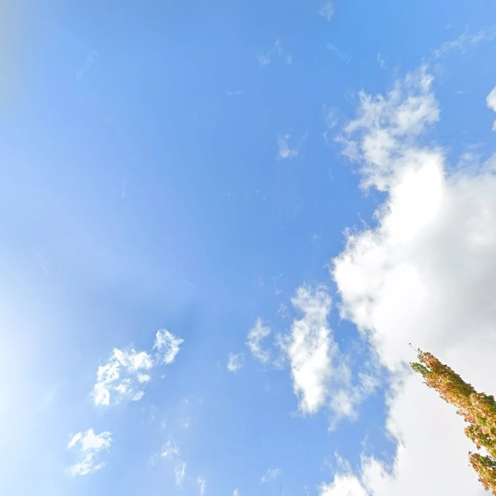 Kringloopwinkel Kringloopwinkel GAiN kleding in Sleeuwijk