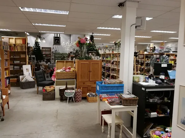 Winkelinterieur met boekenkasten, decoraties, meubels en diverse tweedehands artikelen uitgestald