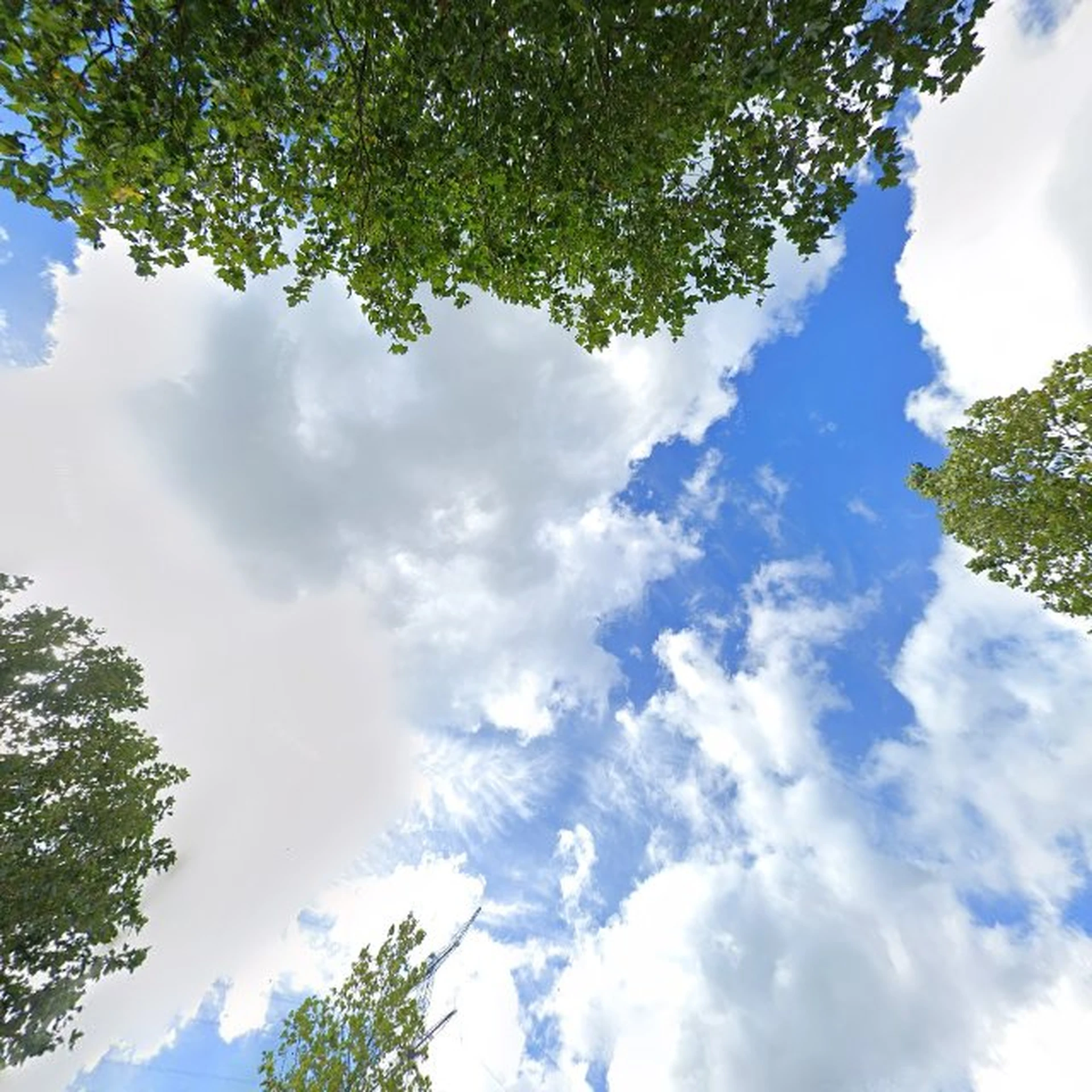 Kringloopwinkel GAiN kringloopwinkel in Nieuw-Lekkerland