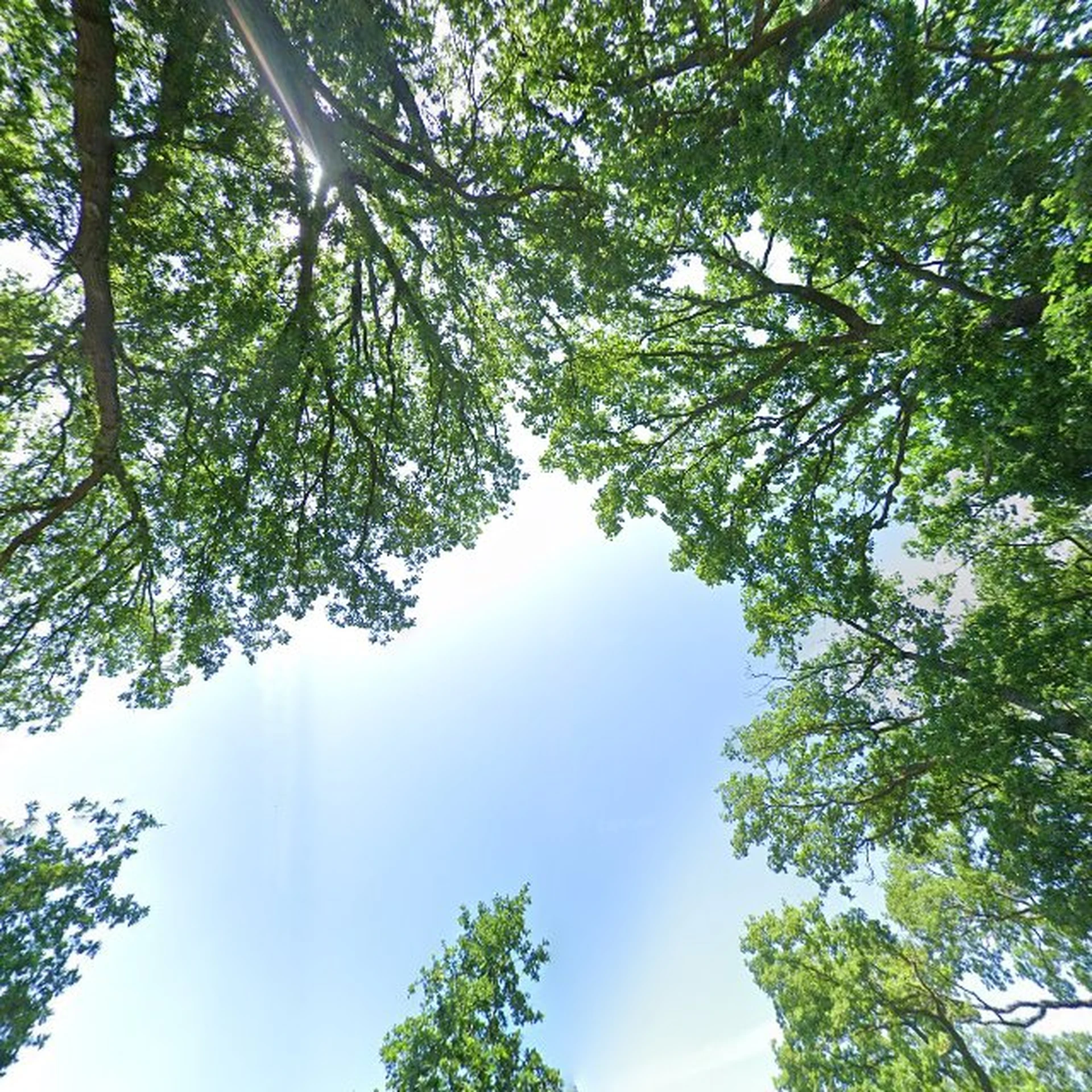 Kringloopwinkel Kringloopwinkel Gambia-markt in Pesse