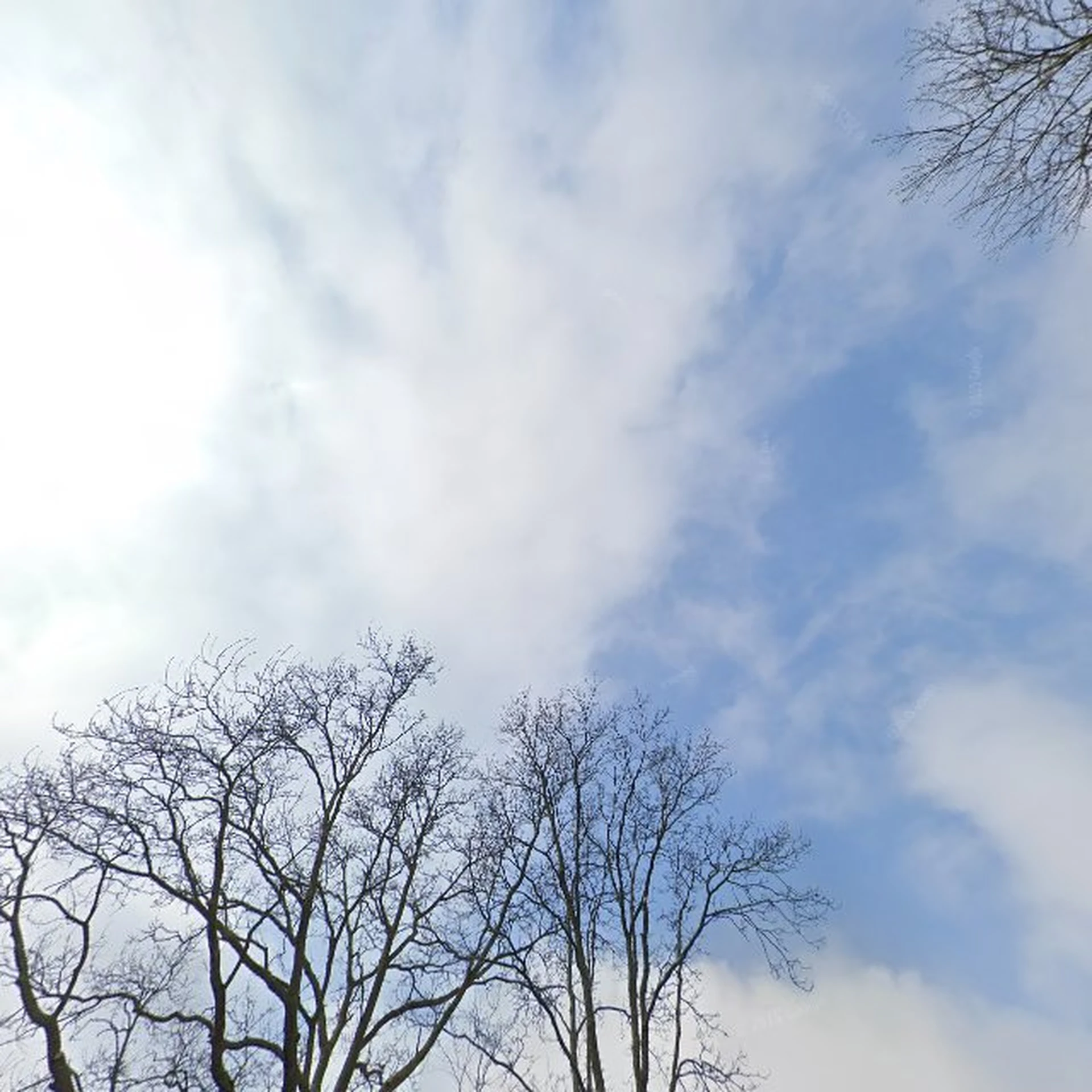 Kringloopwinkel Garage Touw B.V. in Koudekerke