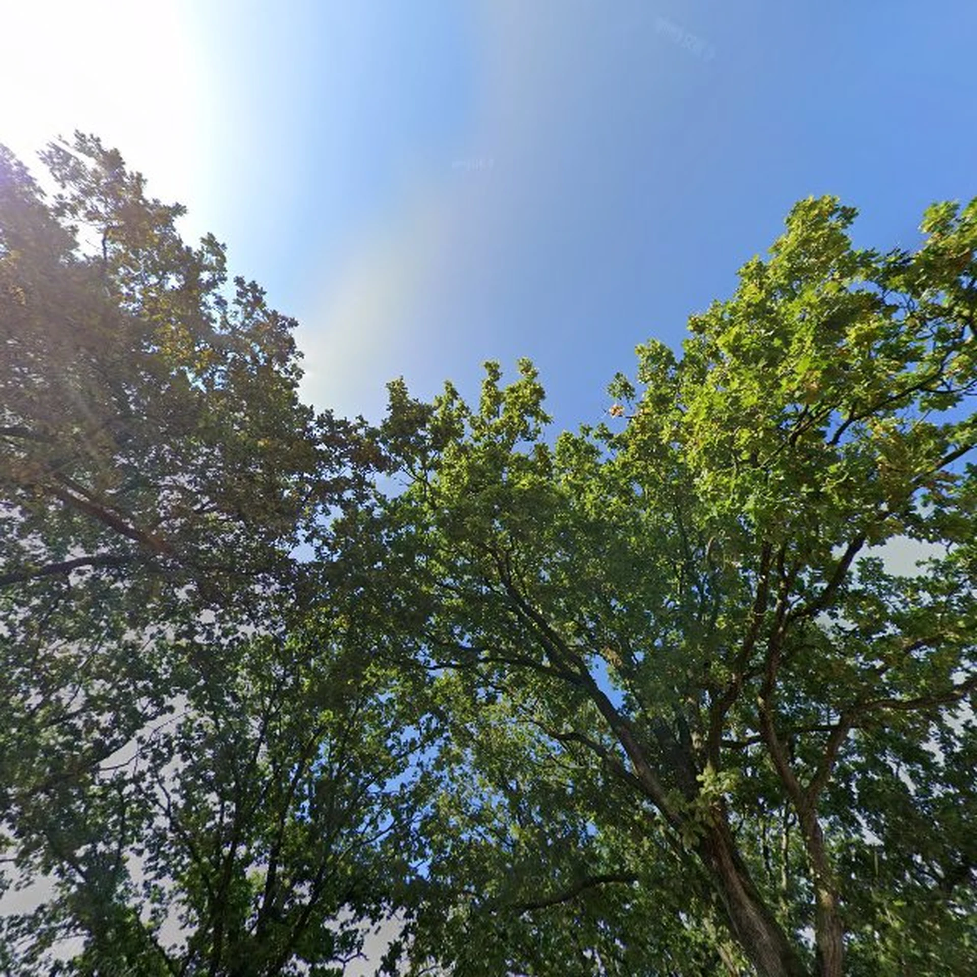 Kringloopwinkel Kringloopwinkel Garderobe Kleding Inbrengwinkel in De Wilp