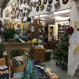 Winkelinterieur met diverse meubels, plantenstandaards, decoraties en kerstversiering
