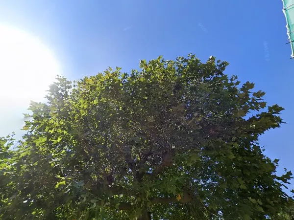 Kringloopwinkel Kringloopwinkel Gerrit's Winkel in Geleen