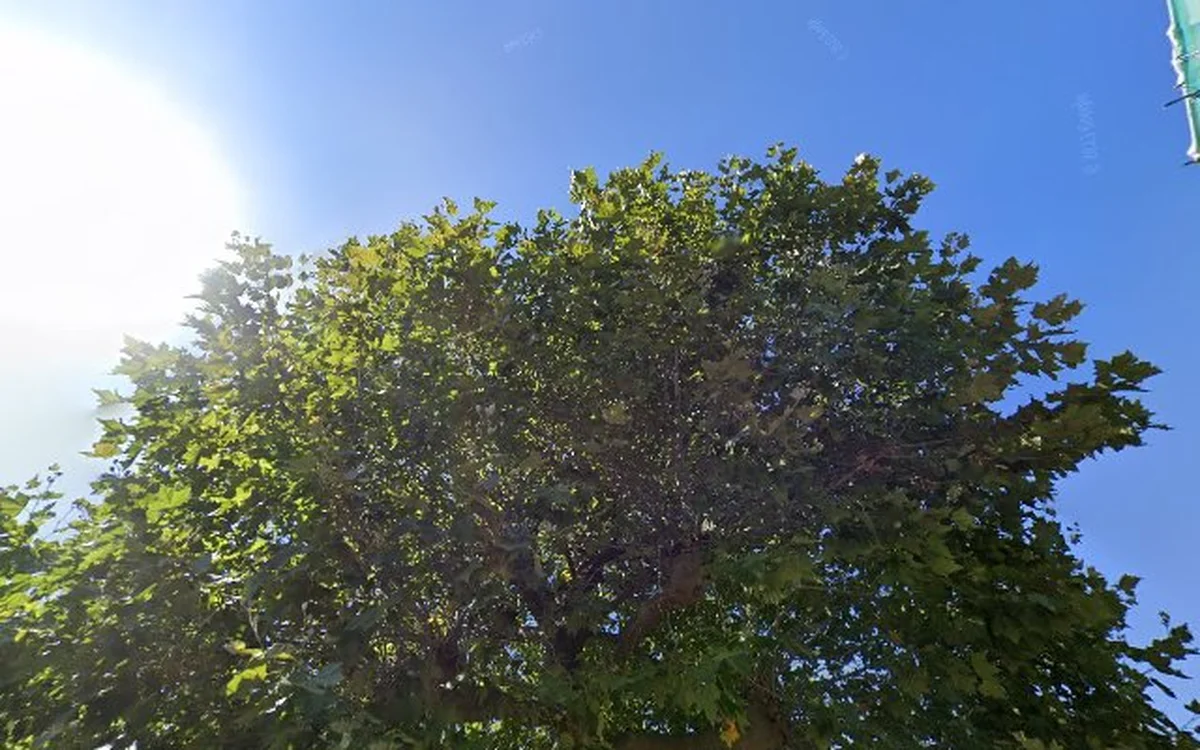 Kringloopwinkel Kringloopwinkel Gerrit's Winkel in Geleen