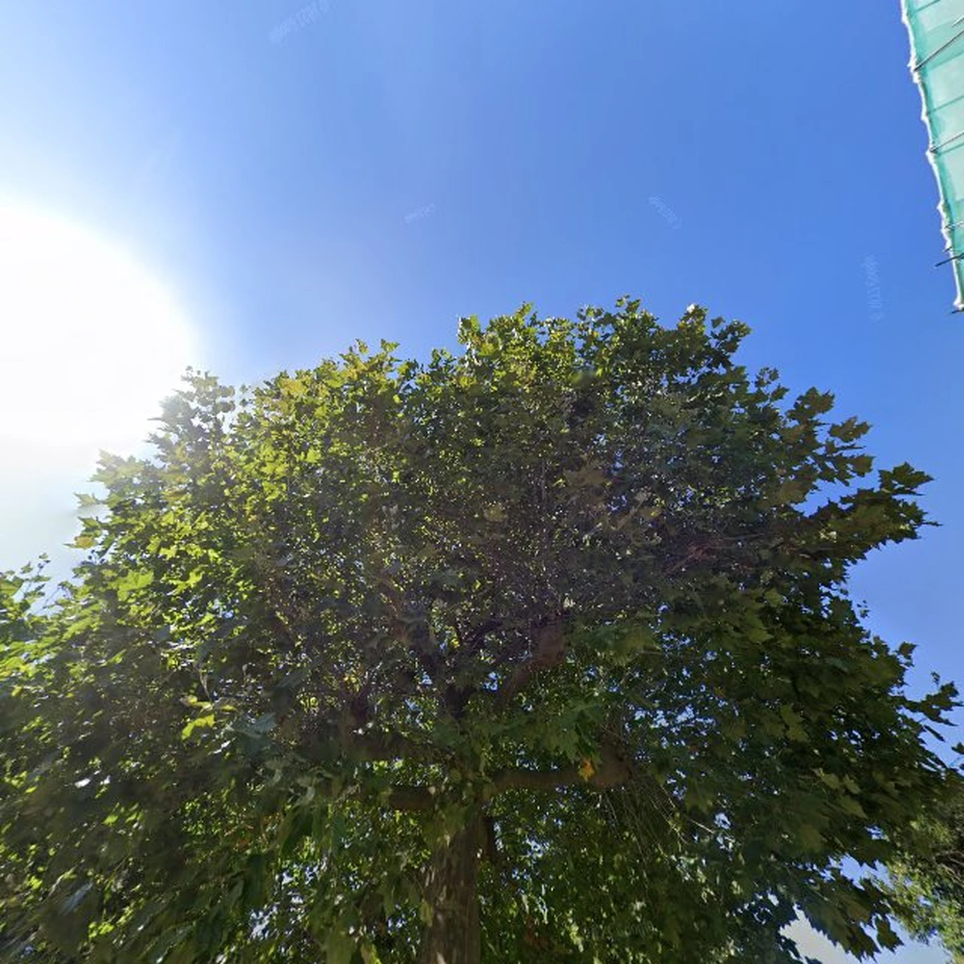 Kringloopwinkel Kringloopwinkel Gerrit's Winkel in Geleen