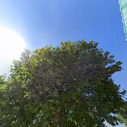 Kringloopwinkel Kringloopwinkel Gerrit's Winkel in Geleen