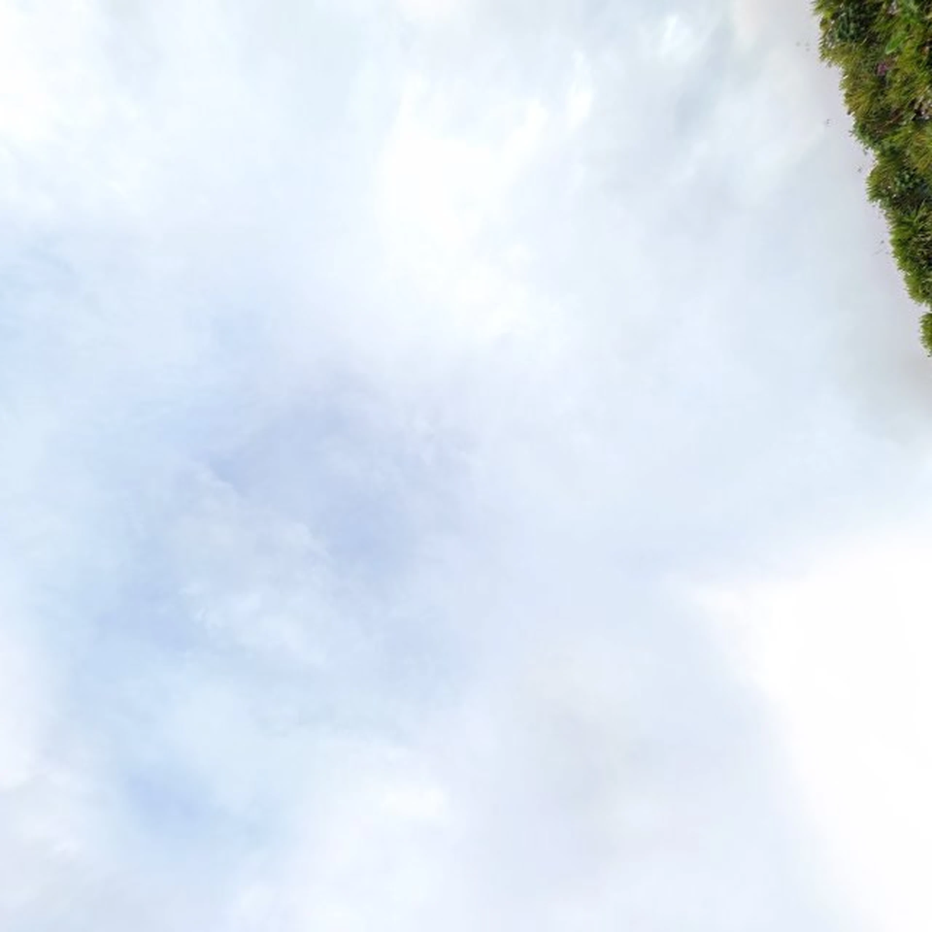 Kringloopwinkel Kringloopwinkel Goed En Nieuw Gorinchem in Gorinchem