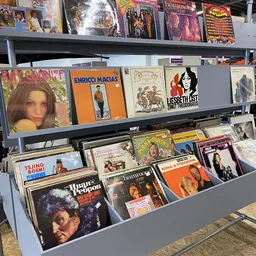 Uitgestalde vinyl LP's en platen op stellingen, met albums van diverse artiesten zichtbaar
