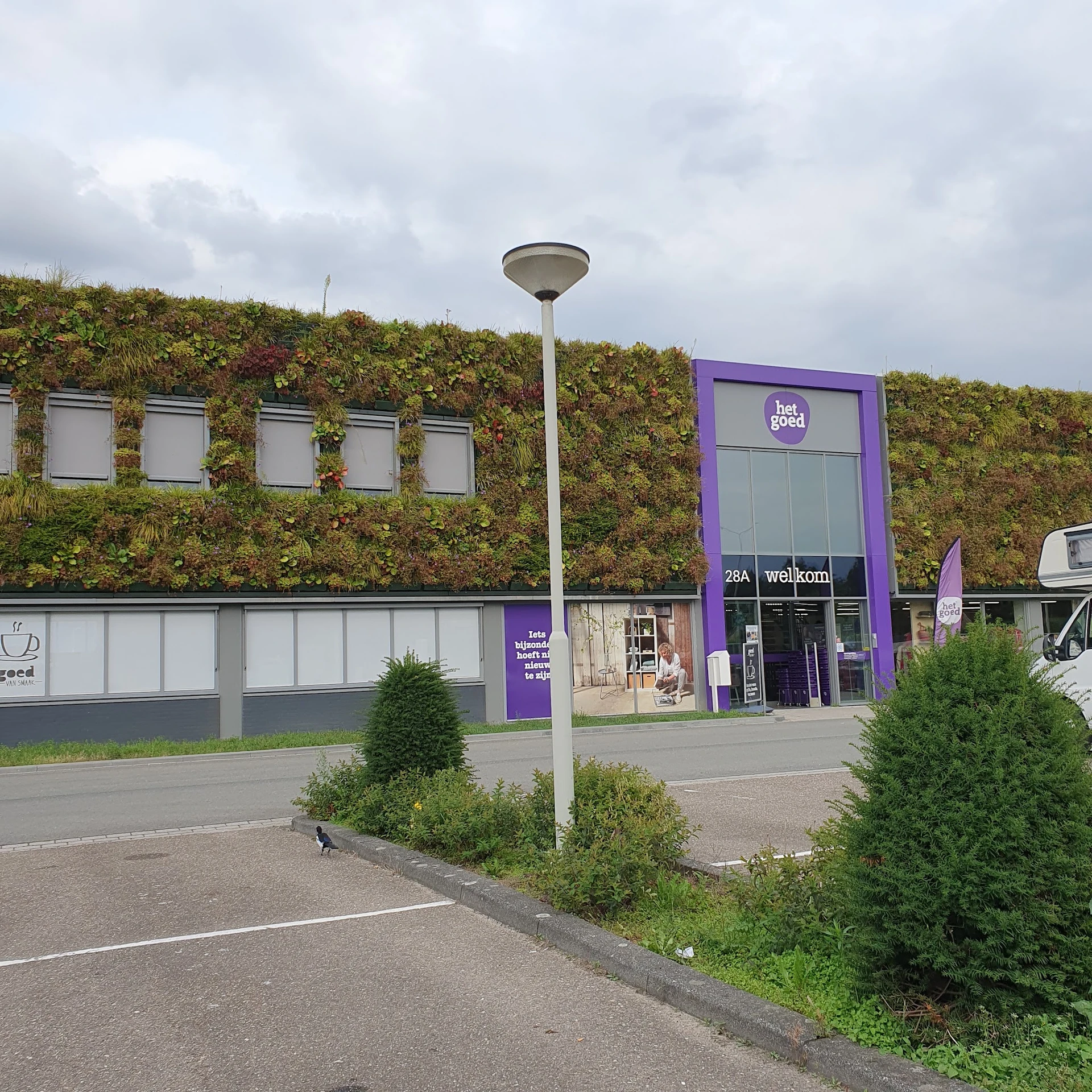 Voorgevel van kringloopwinkel met paarse entree, groene gevel en plantenwand