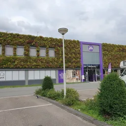 Voorgevel van kringloopwinkel met paarse entree, groene gevel en plantenwand