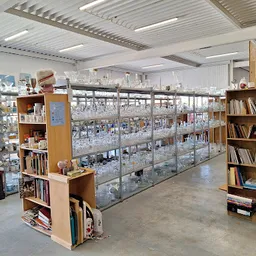 Bezoeker foto van Kringloopwinkel Goed voor Goed Stellendam in Stellendam