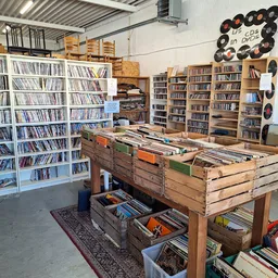 Ruime winkelruimte met cd- en platenkast, boekenkasten en houten toonbank vol met verzamelobjecten
