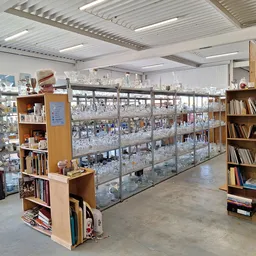 Ruime winkelhal met glazen vitrines in het midden en houten stellingen met boeken en spullen aan de zijkanten