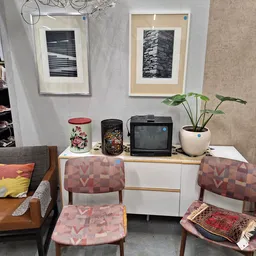 Winkelinterieur met meubels, twee framed kunstwerken aan de muur, een commode met diverse decoratieve items en planten