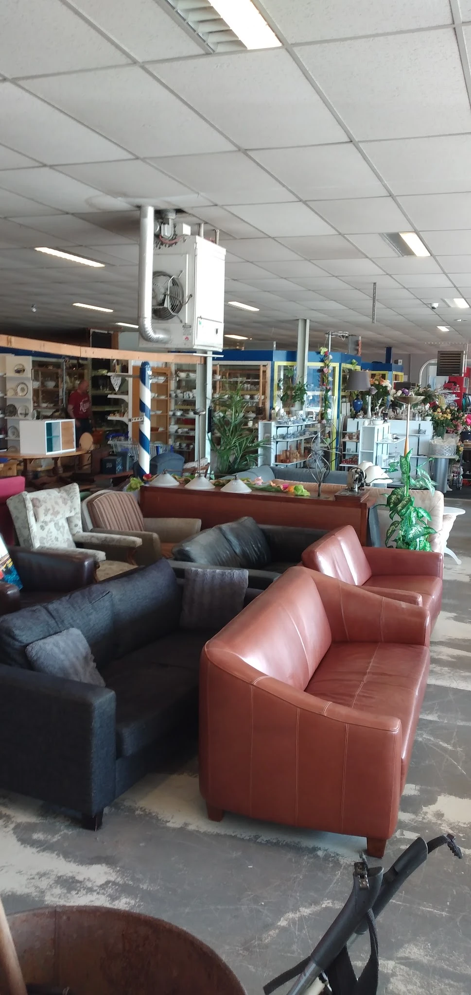Zithoek met rode en grijze fauteuils, planten en kastjes met spullen in kringloopwinkel