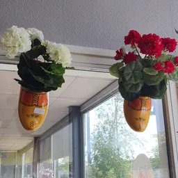 Twee gele maskervormige bloempotten met witte en rode geraniums voor een raam