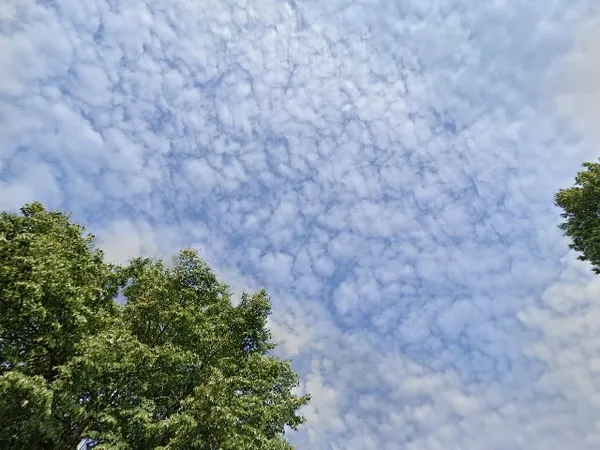 Kringloopwinkel GoedwoonKoop in Apeldoorn