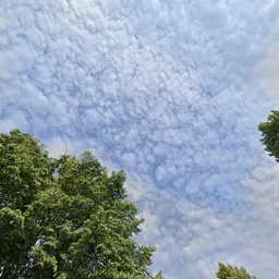 Kringloopwinkel GoedwoonKoop in Apeldoorn