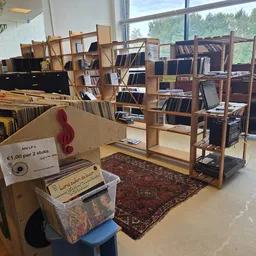 Winkelvloer met houten stellingen vol boeken en vinyls, pers op de voorgrond, grote ramen met uitzicht op groen