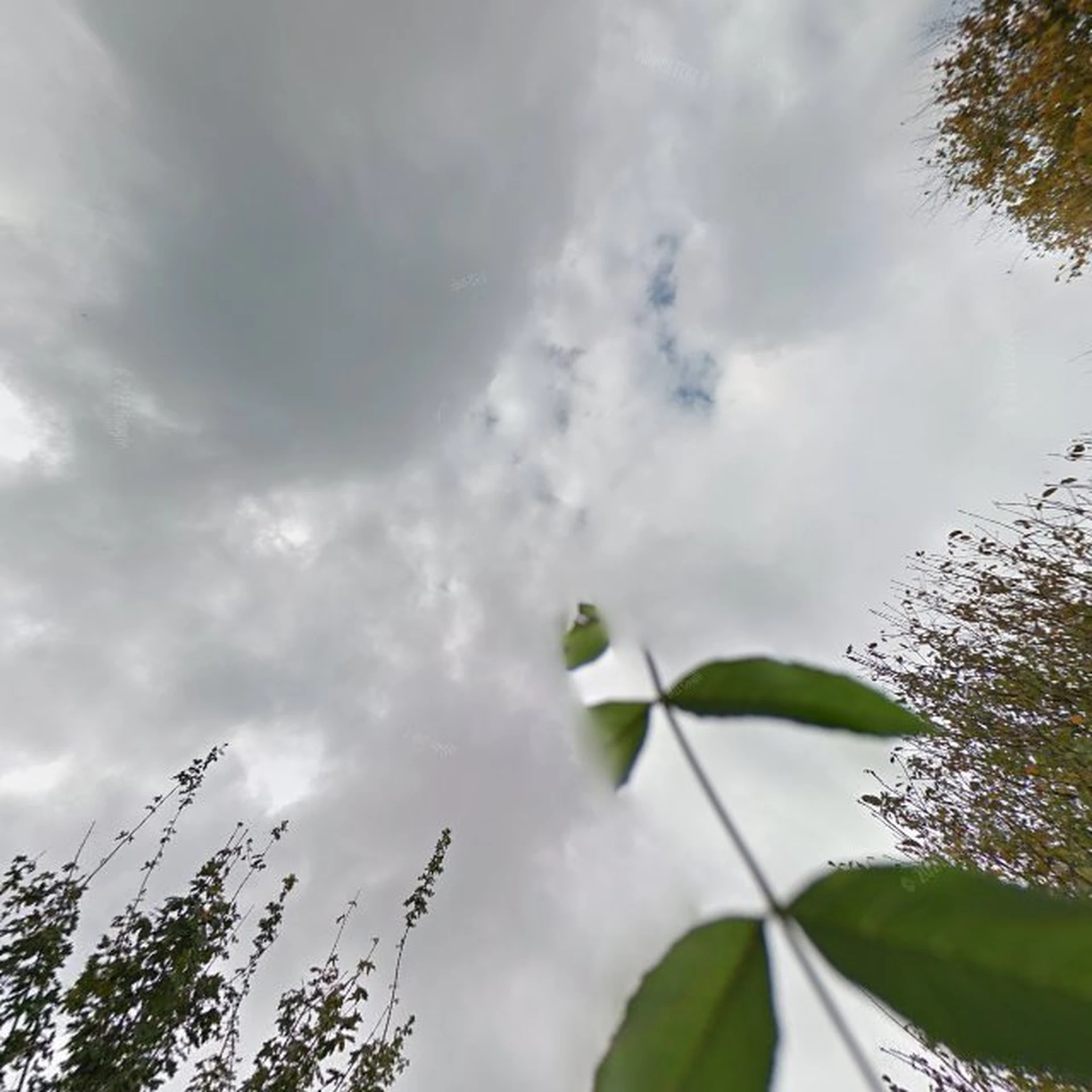 Kringloopwinkel Kringloopwinkel GoudGoed Uithuizen in Uithuizen