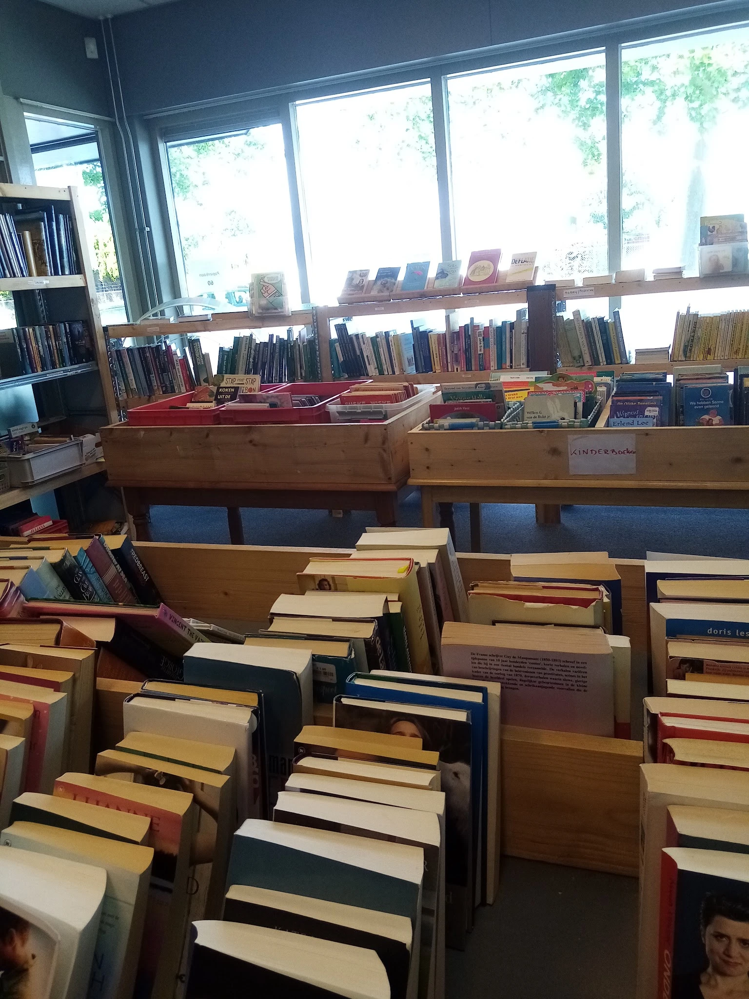 Boeken in houten bakken en op stellingen, veel tweedehands exemplaren op een kringloopwinkel vloer