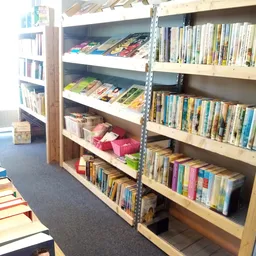 Stellingen met uitgestalde boeken, dvd's en cd's in verschillende kleuren en formaten