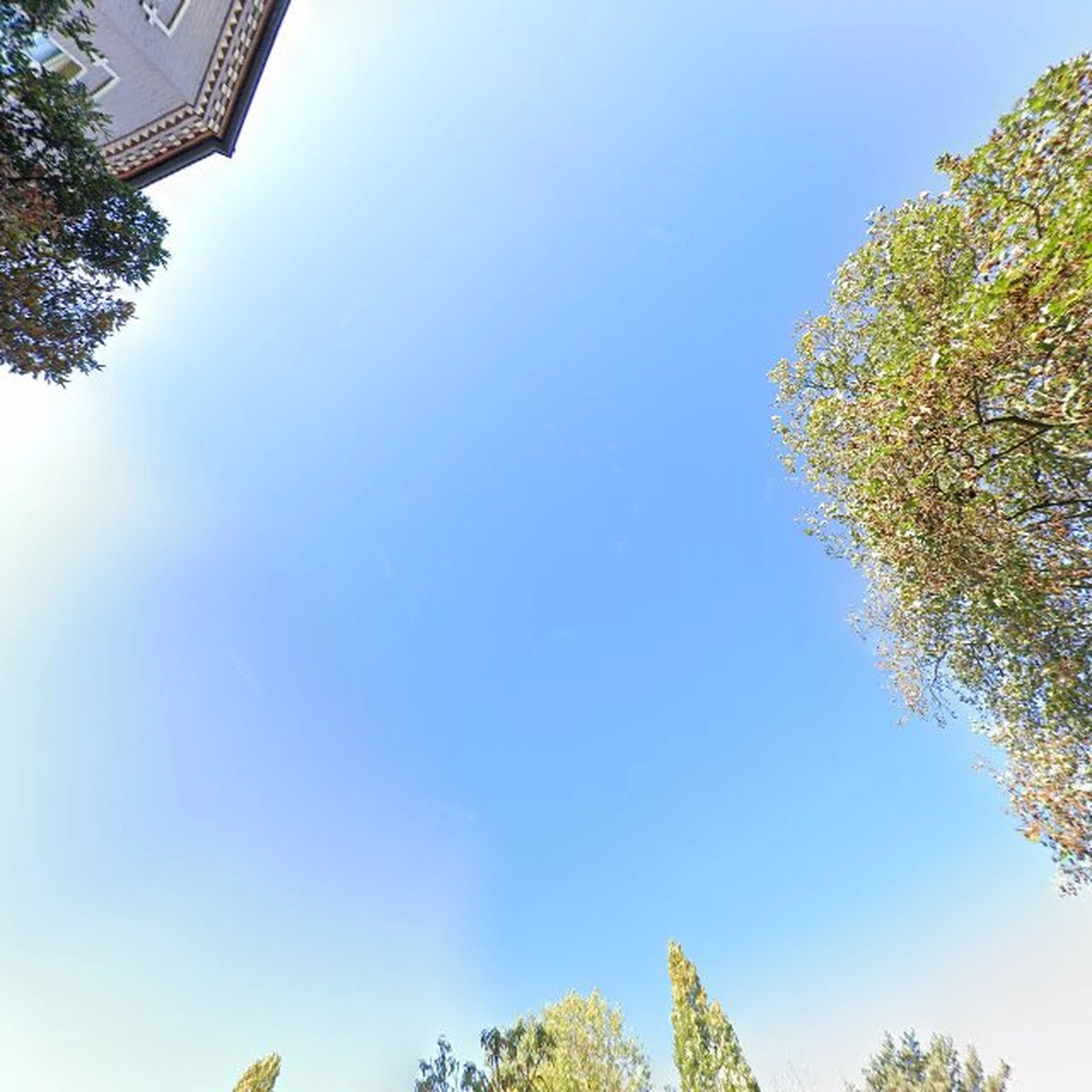 Kringloopwinkel Grenzenlos in Herzogenrath