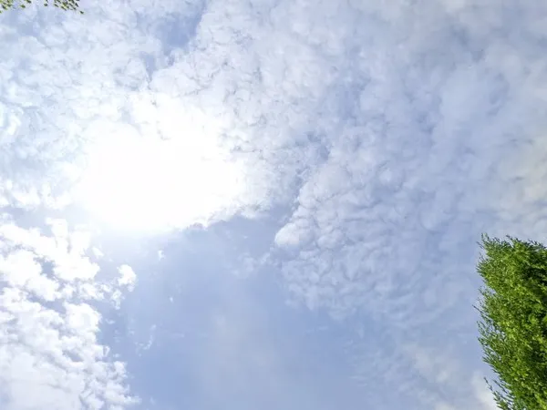 Kringloopwinkel GuGe-Laden Mehrhoog in Hamminkeln