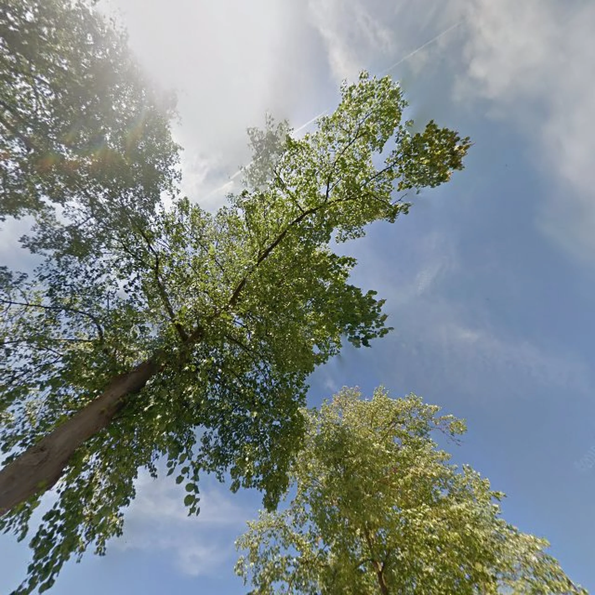 Kringloopwinkel Kringloopwinkel Habbekrats in Culemborg