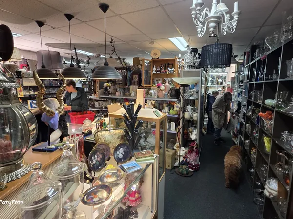 Overzicht van de winkelvloer met diverse uitgestalde items, stellingen, hangende lampen en decoratiestukken