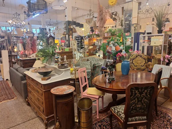 Winkelvloer van kringloopwinkel met diverse meubels, lampen, plantenbakken en decoratie uitgestald