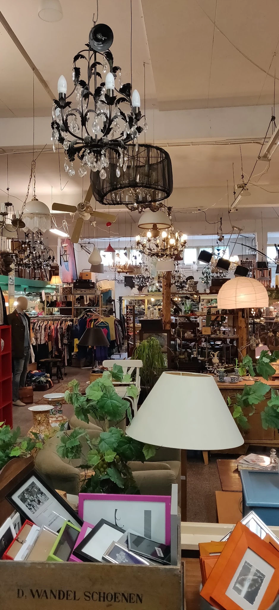 Winkelvloer met hangende lampen, kledingrekken, plantjes, meubels en diverse tweedehands spullen