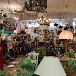 Winkelvloer met hangende lampen, kledingrekken, plantjes, meubels en diverse tweedehands spullen