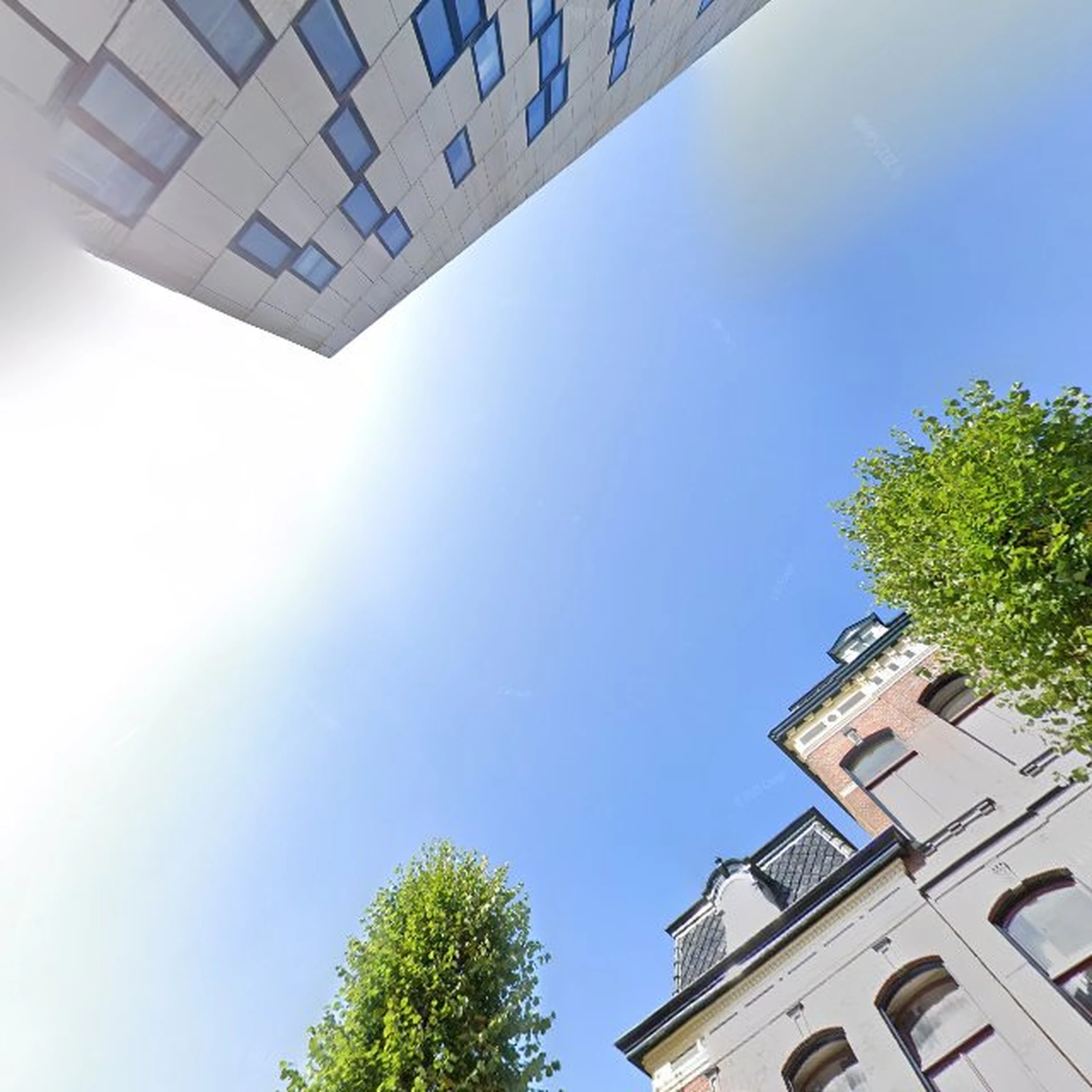 Kringloopwinkel Kringloopwinkel Happy Koters in Groningen in Groningen Stad