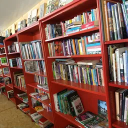 Rode boekenkasten met dvd's, blu-rays en boeken in verschillende vakken