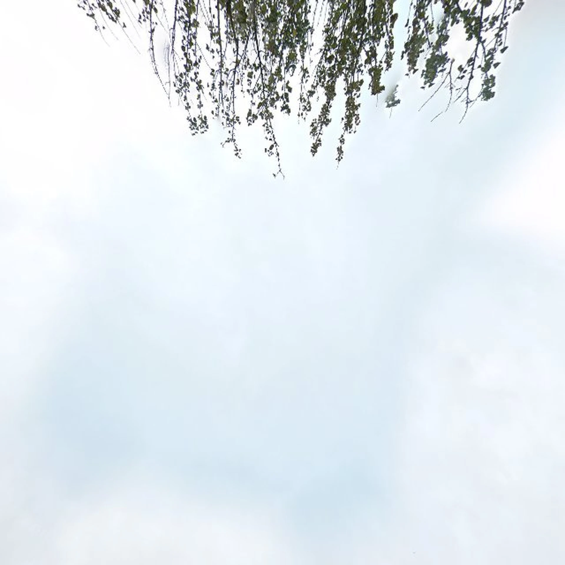 Kringloopwinkel Hebbes in Gilze